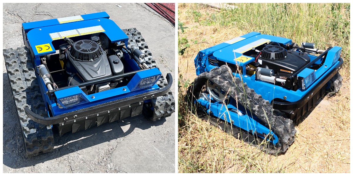 1761619635518651. jpg