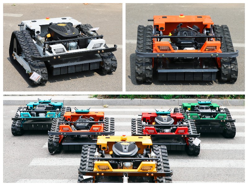 1774946660118504. jpg