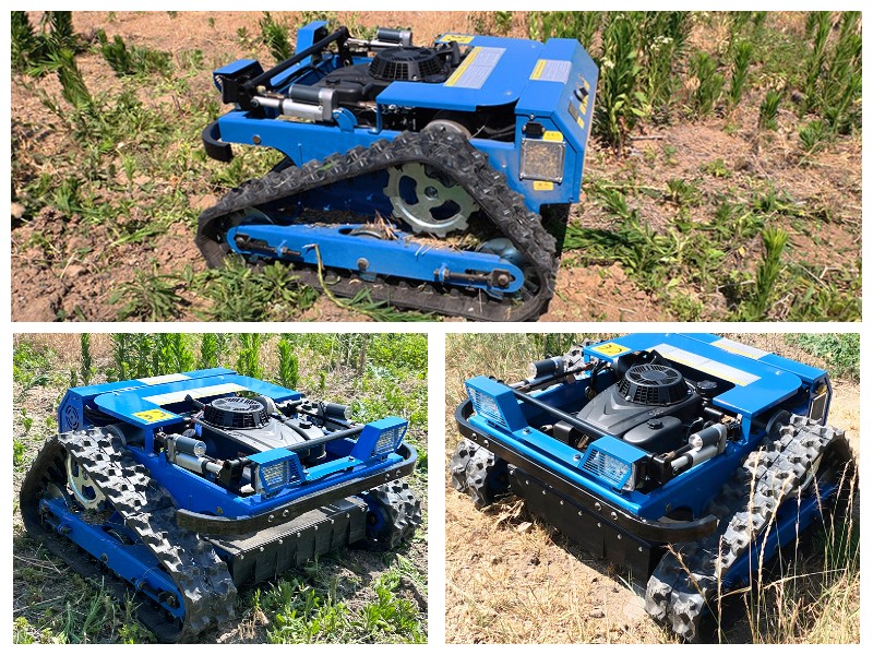 1774946915176637. jpg